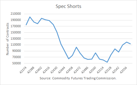 Crude Oil Spec Shorts