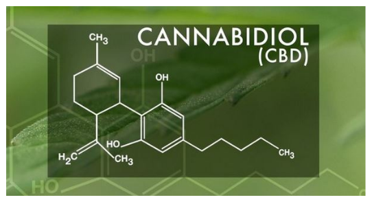 CANNABIDIOL (CBD) 