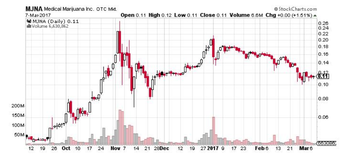 Daily Chart of MJNA